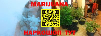 прущие грибы Бийск