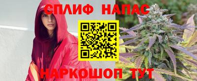 Альфа ПВП Беслан
