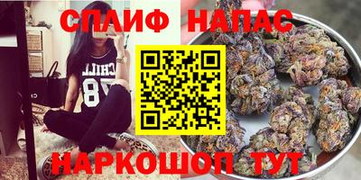прущие грибы Бийск