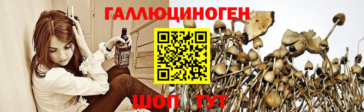 Псилоцибиновые грибы Magic Shrooms Кинель