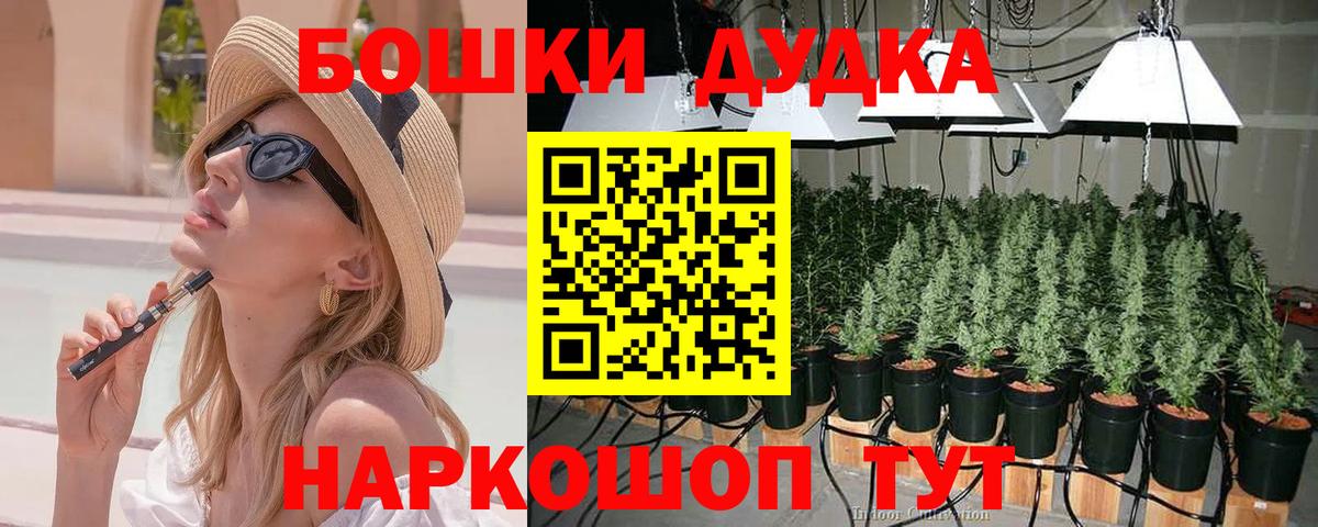 Конопля OG Kush  Шишки марихуана планчик  Бошки Шишки семена  Вход с VPN  Бошки Шишки марихуана  Кинель 